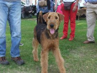 /album/galeria-de-fotos/dscf0128-jpg1/