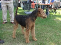 /album/galeria-de-fotos/ariel2-jpg2/