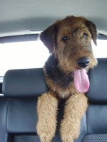 /album/galeria-de-fotos/imgp0530-jpg/