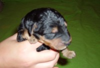 /album/galeria-de-fotos/imgp0104-jpg/