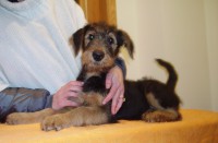 /album/galeria-de-fotos/imgp0458-jpg/