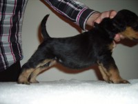 /album/galeria-de-fotos/imgp0408-jpg1/