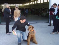 /album/galeria-de-fotos/imgp0581-jpg1/