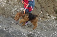 /album/galeria-de-fotos/imgp0610-jpg1/