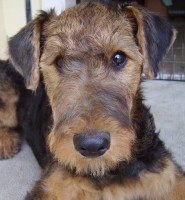 /album/galeria-de-fotos/imgp0686-jpg1/