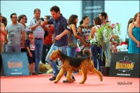 /album/galeria-de-fotos/a3931-jpg1/