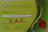 /album/galeria-de-fotos/montijo-jpg/