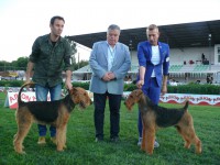 /album/galeria-de-fotos/a37332324-1994050837272227-9029694399356862464-o-jpg1/